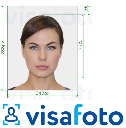 Образец фотографии для __name__ с точными размерами