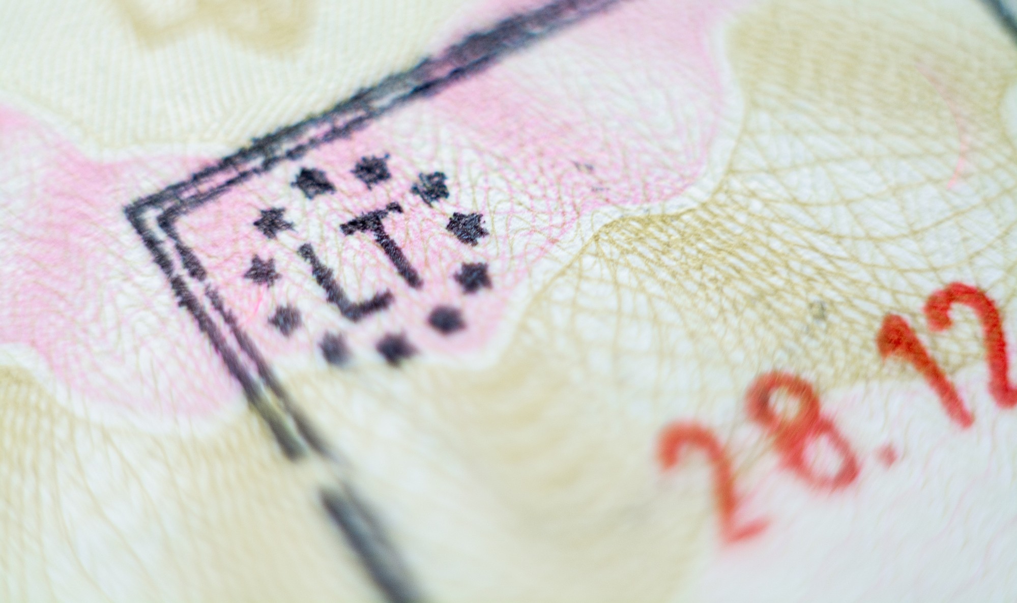 Виза в Литву для россиян